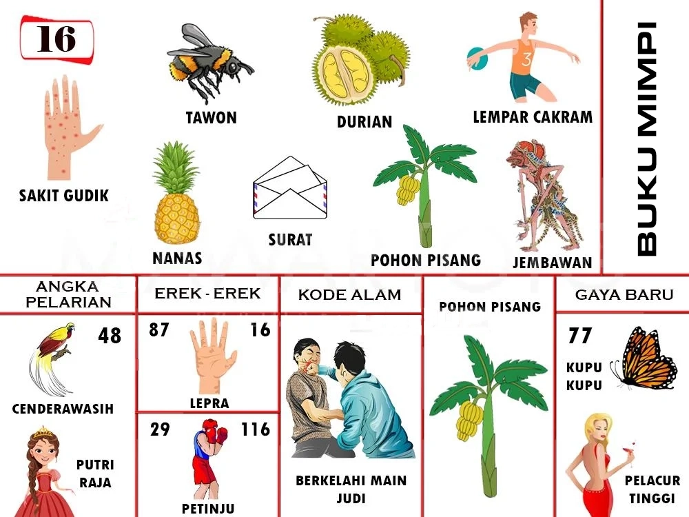buku mimpi erek erek togel 16